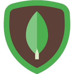 HTML icon